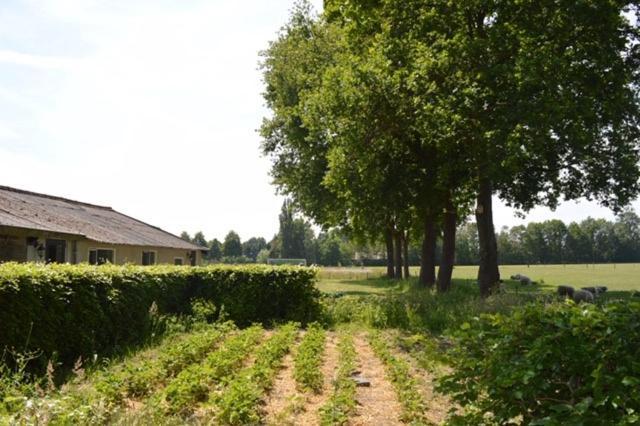 Residentie De Hoek Den Dungen Luaran gambar