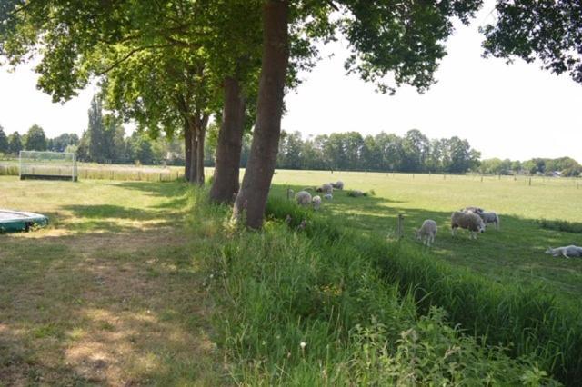Residentie De Hoek Den Dungen Luaran gambar